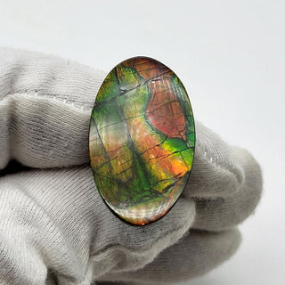 6721125 - Freeform - Oval - (Grade: A+ / A3)