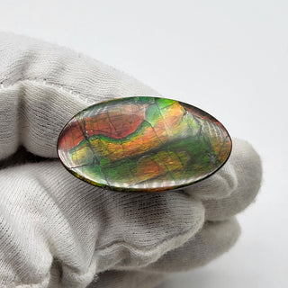 6721125 - Freeform - Oval - (Grade: A+ / A3)