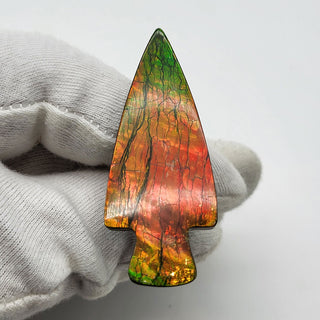 6751125 - Freeform - Arrow (Grade: A+)