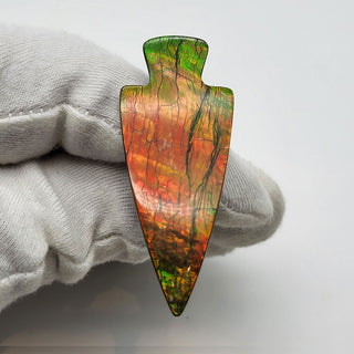6751125 - Freeform - Arrow (Grade: A+)