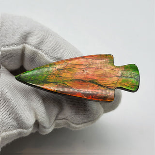 6751125 - Freeform - Arrow (Grade: A+)