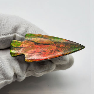 6751125 - Freeform - Arrow (Grade: A+)