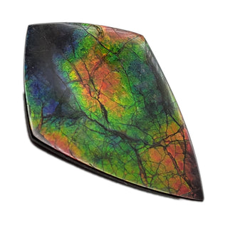 7230126 - Freeform - Shield (Grade: A+ / A3)
