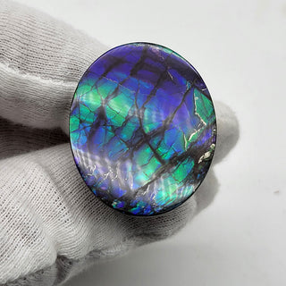 7280126 - Freeform - Oval - (Grade: A+)