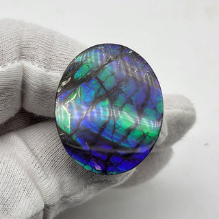 7280126 - Freeform - Oval - (Grade: A+)