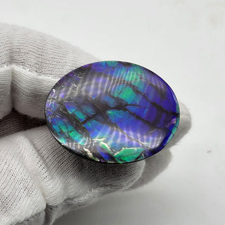 7280126 - Freeform - Oval - (Grade: A+)