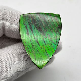 7420226 - Freeform - Shield (Grade: A+ / A3)