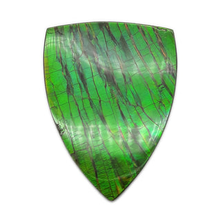7420226 - Freeform - Shield (Grade: A+ / A3)