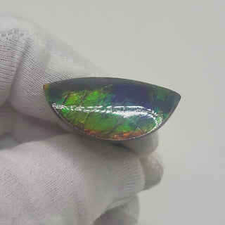 Ammolite Eye Shaped Freeform Loose Gemstone 4430125-Video