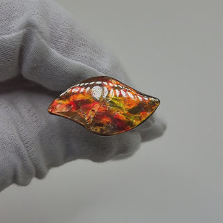 Ammolite Swept Leaf Shaped Freeform Loose Gemstone 3300924-Video
