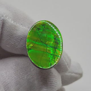 Ammolite Oval Shaped Freeform Loose Gemstone 4020125-Video