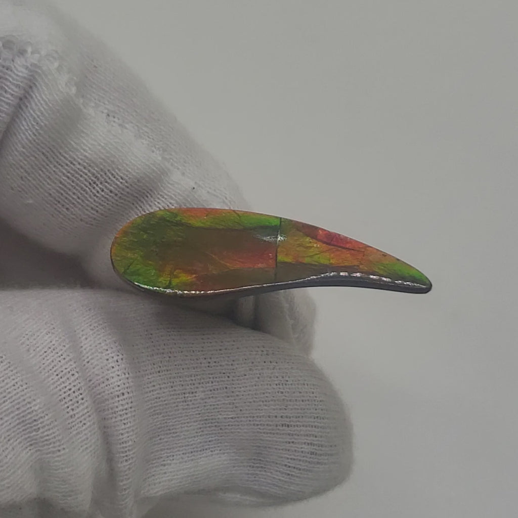 Ammolite Swept Pear Shaped Freeform Loose Gemstone 4380125-Video