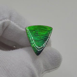 Ammolite Triangle Shaped Freeform Loose Gemstone 4670325-Video