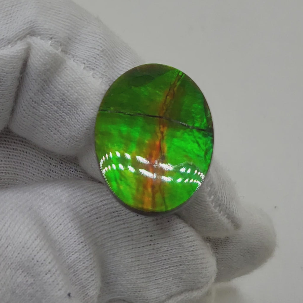 Ammolite Oval Shaped Freeform Loose Gemstone 4850325-Video