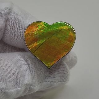 Ammolite Heart Shaped Freeform Loose Gemstone 5470425-Video