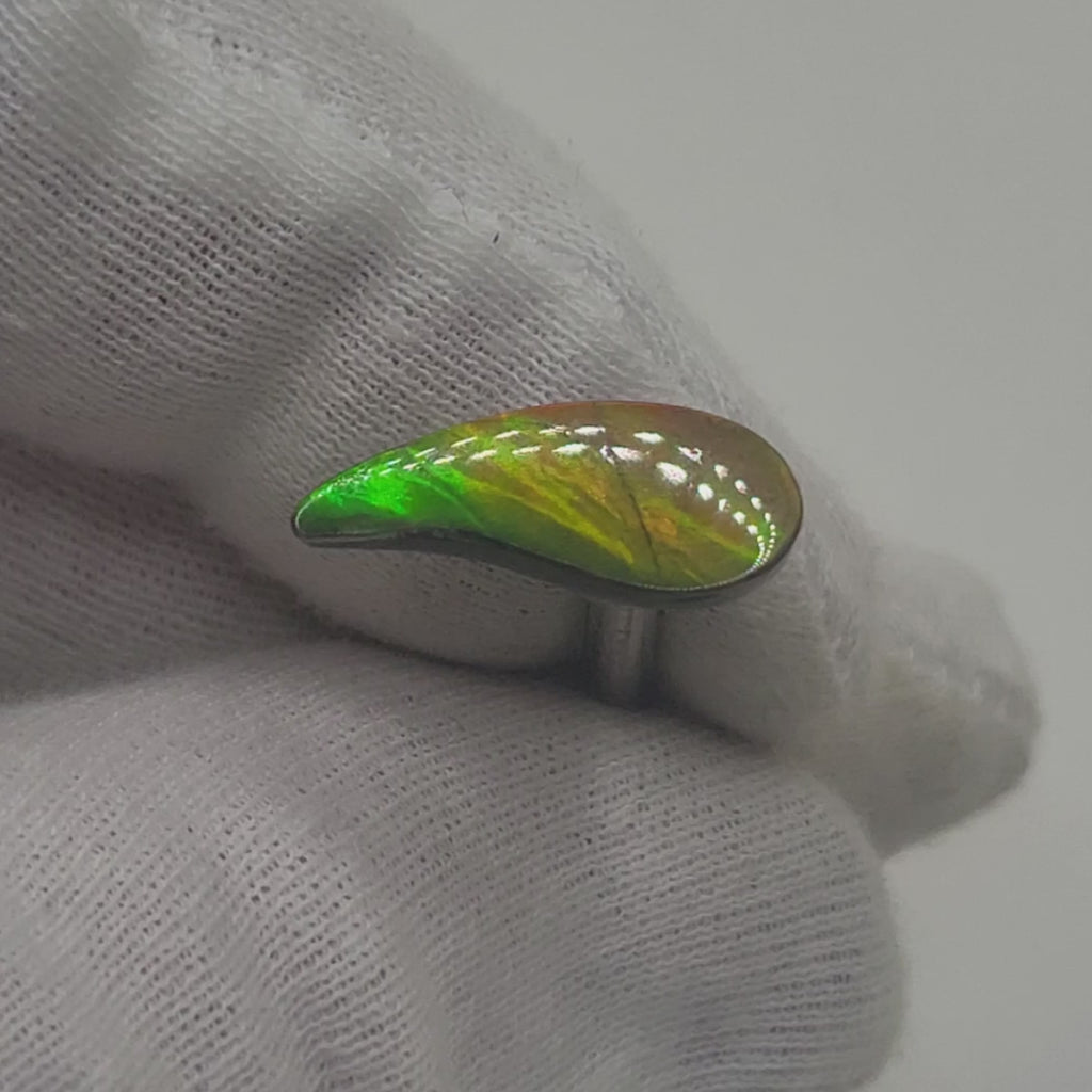 Ammolite Swept Pear Shaped Freeform Loose Gemstone 4360125-Video