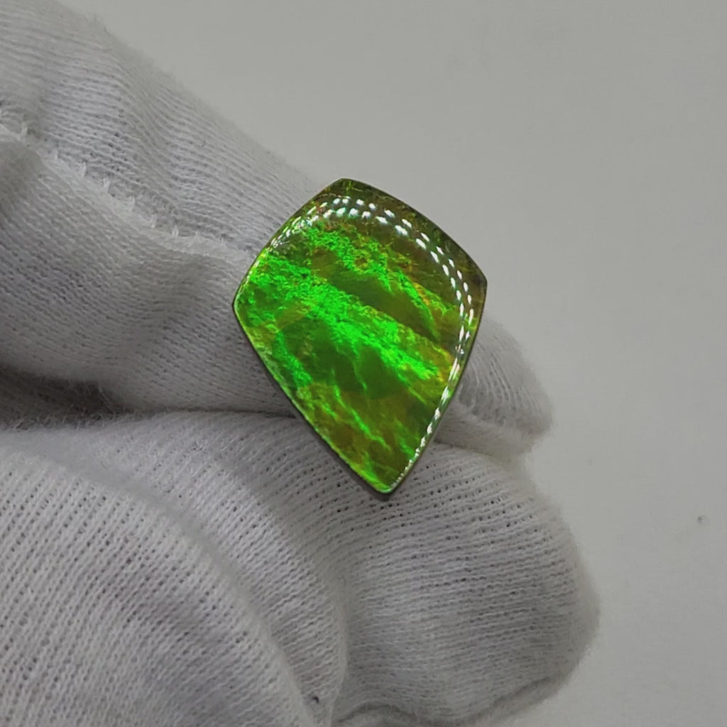 Ammolite Shield Shaped Freeform Loose Gemstone 4880325-Video