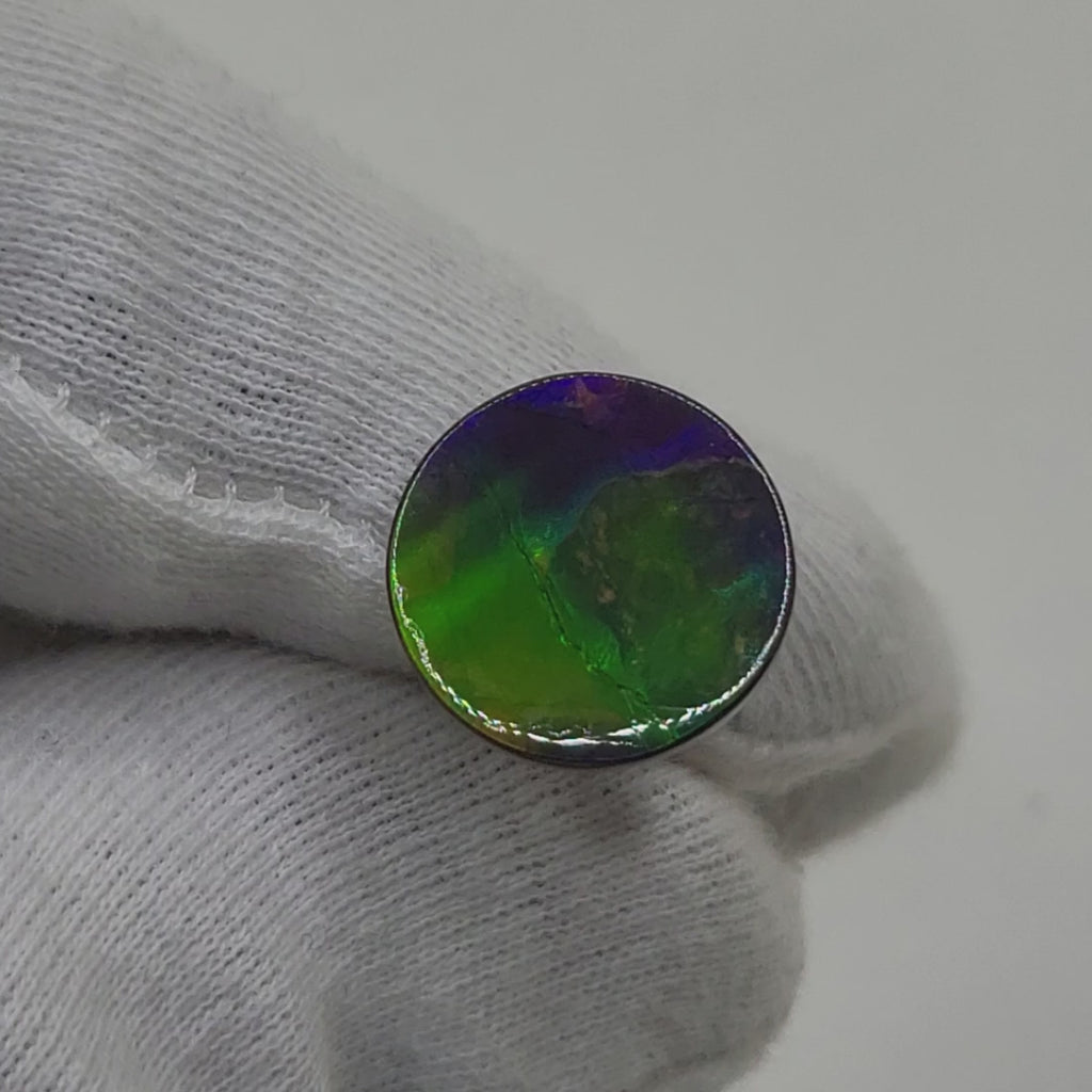 Ammolite Round Shaped Freeform Loose Gemstone 4730325-Video