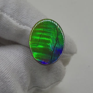 Ammolite Oval Shaped Freeform Loose Gemstone 4770325-Video