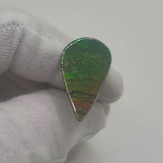 Ammolite Pear Shaped Freeform Loose Gemstone 4410125-Video