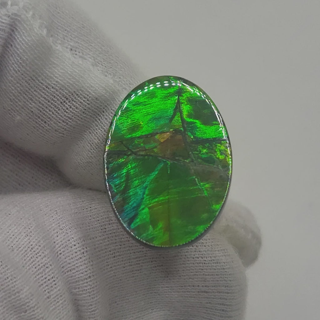 Ammolite Oval Shaped Freeform Loose Gemstone 4480125-Video