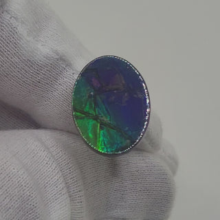 Ammolite Oval Shaped Freeform Loose Gemstone 5220425-Video