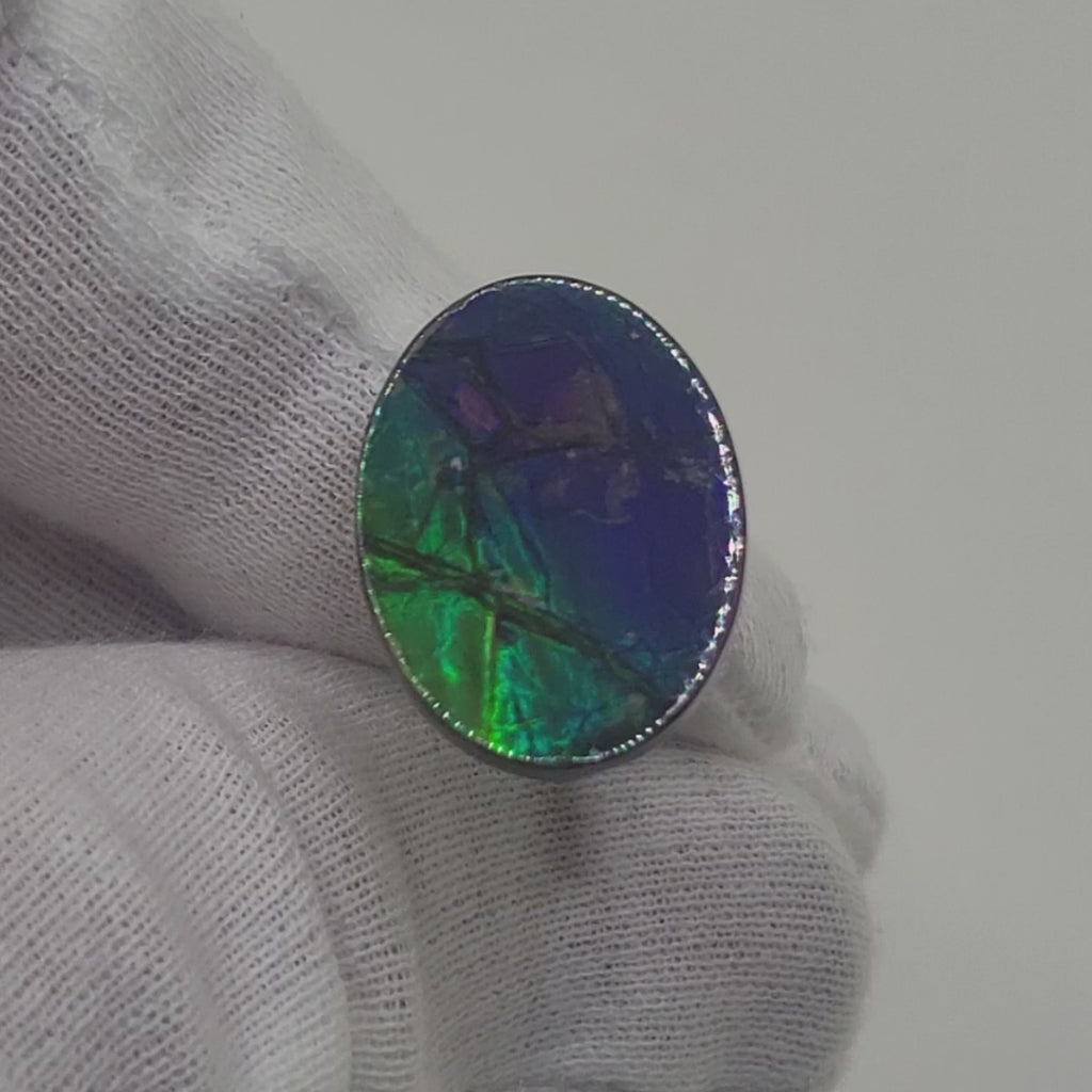 Ammolite Oval Shaped Freeform Loose Gemstone 5220425-Video