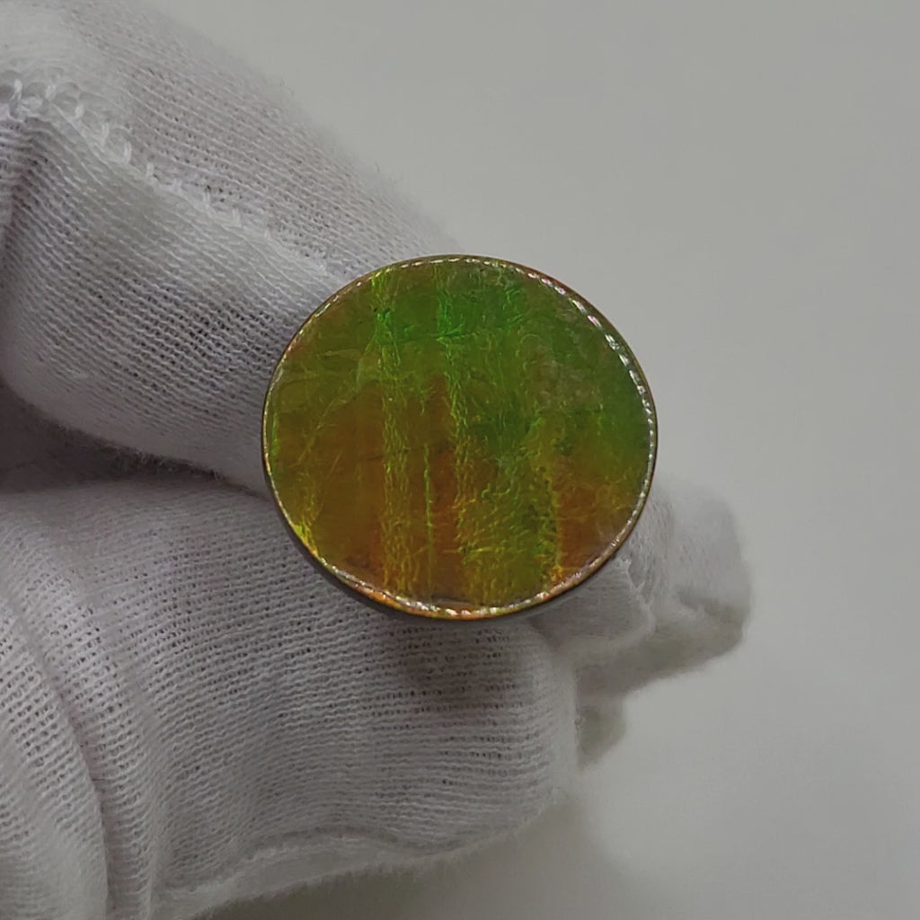 Ammolite Round Shaped,  Freeform,  Loose Gemstone 4070125-Video