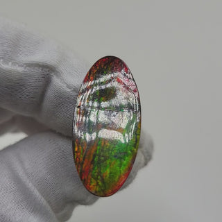 Ammolite Oval Shaped Freeform Loose Gemstone 2070724-Video