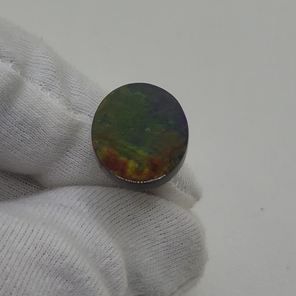 Ammolite Oval Shaped Freeform Loose Gemstone 4780325-Video
