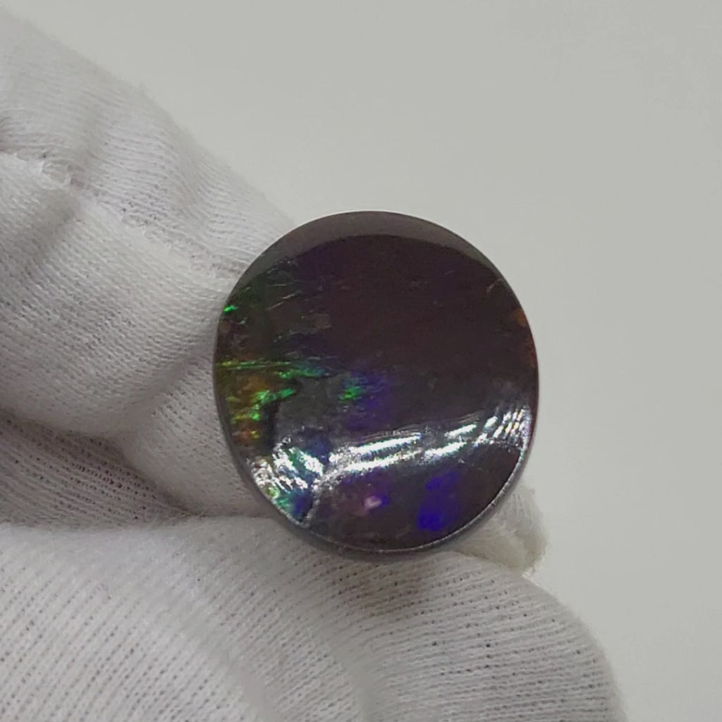 Ammolite Oval Shaped Freeform Loose Gemstone 5080325-Video