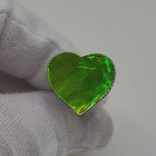 Ammolite Heart Shaped Polished Freeform Loose Gemstone 5470425-Video