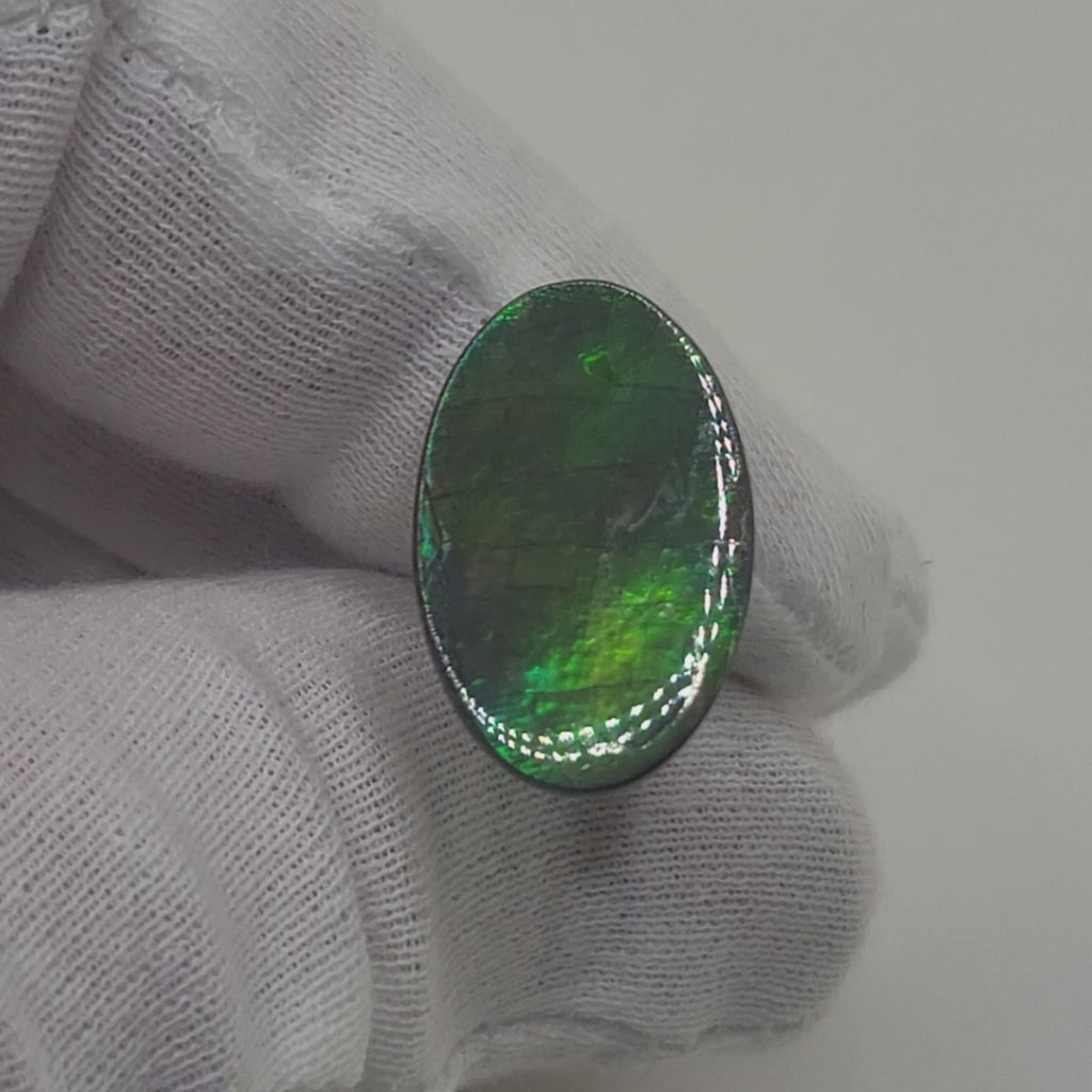 Ammolite Oval Shaped Freeform Loose Gemstone 5210425-Video