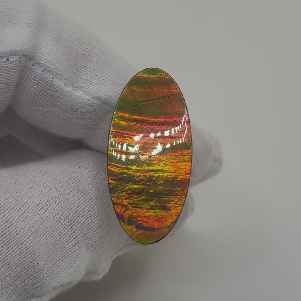Ammolite Oval Shaped Freeform Loose Gemstone 5300425-Video