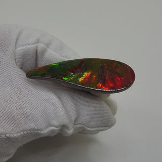 Ammolite Oval Shaped Freeform Loose Gemstone 5050325-Video