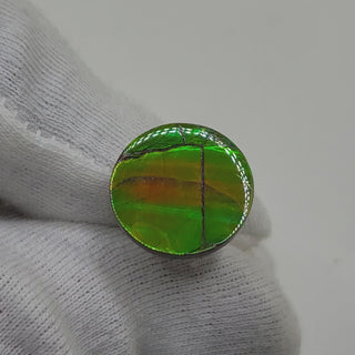 Ammolite Round Shaped Freeform Loose Gemstone 4740325-Video