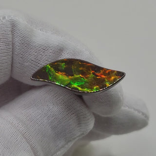 Ammolite Swept Leaf Shaped Freeform Loose Gemstone 3240924-Video