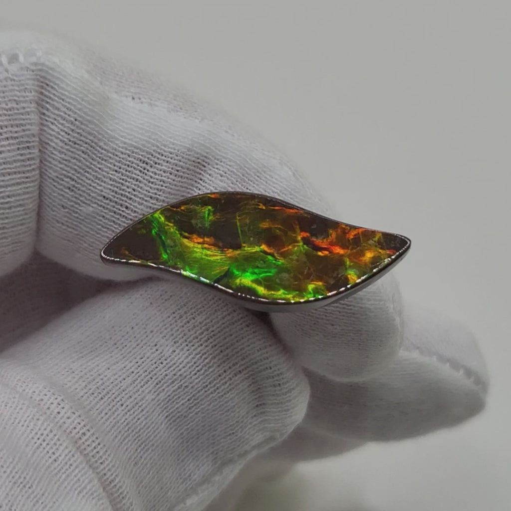Ammolite Swept Leaf Shaped Freeform Loose Gemstone 3240924-Video