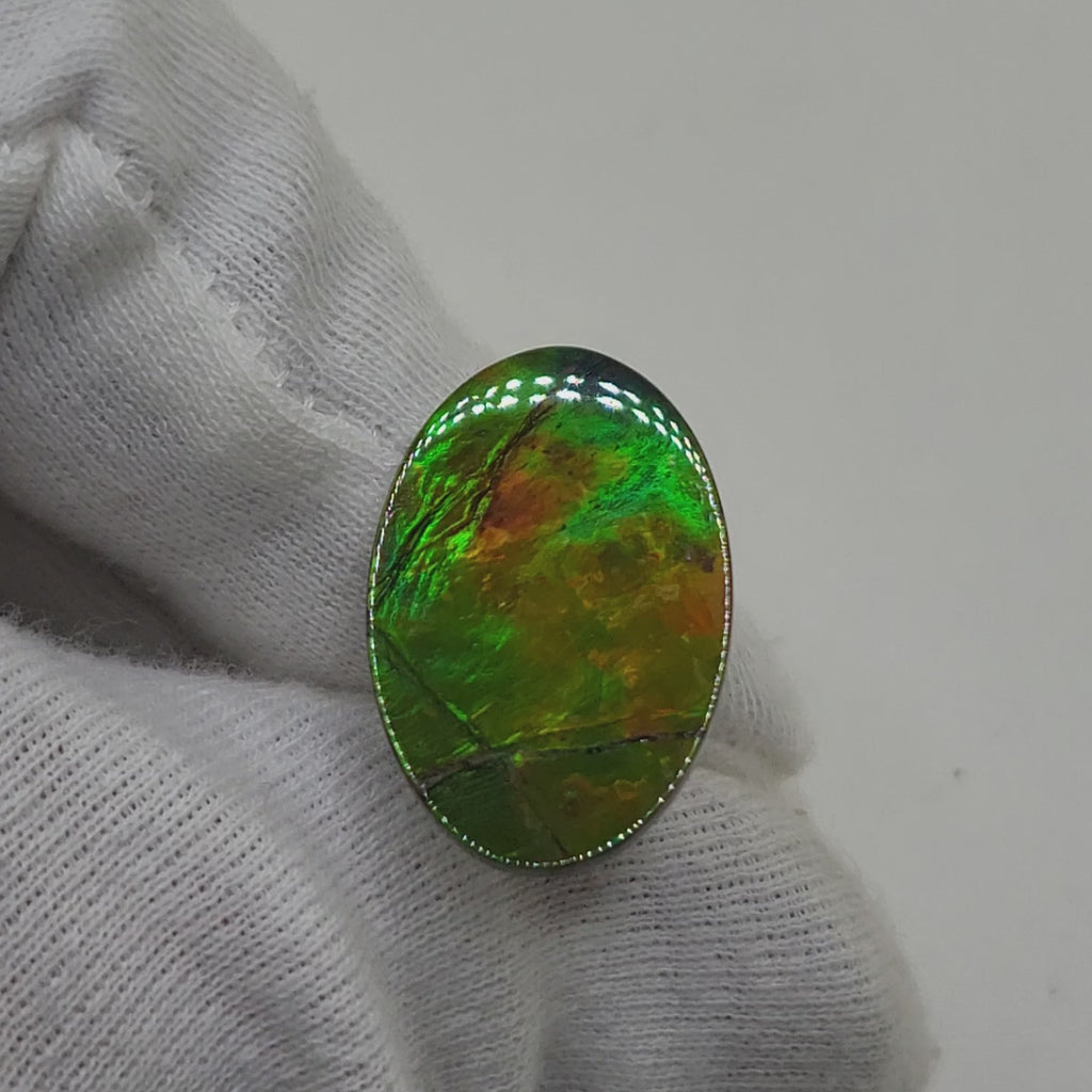 Ammolite Oval Shaped Freeform Loose Gemstone 4830325-Video