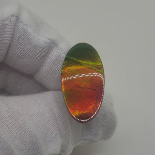 Ammolite Oval Shaped Freeform Loose Gemstone 5290425-Video