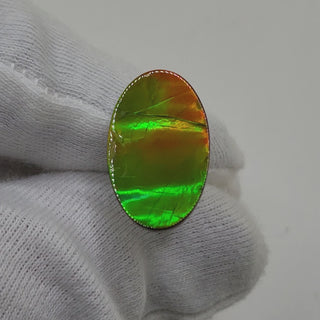 Ammolite Oval Shaped Freeform Loose Gemstone 4710325-Video