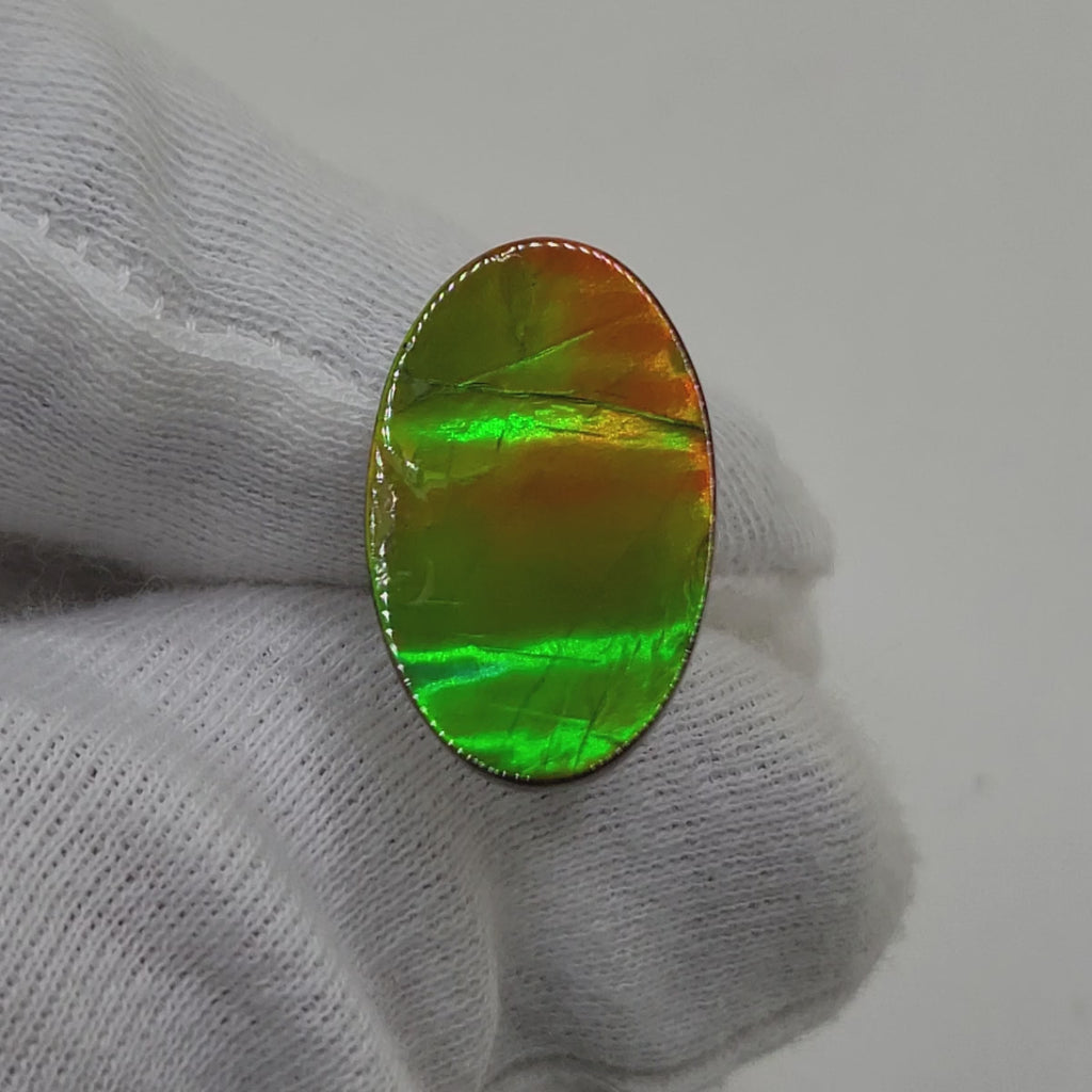 Ammolite Oval Shaped Freeform Loose Gemstone 4710325-Video