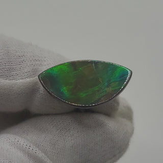 Ammolite Eye Shaped Freeform Loose Gemstone 3150924-Video