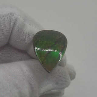 Ammolite Pear Shaped Freeform Loose Gemstone 4460125-Video