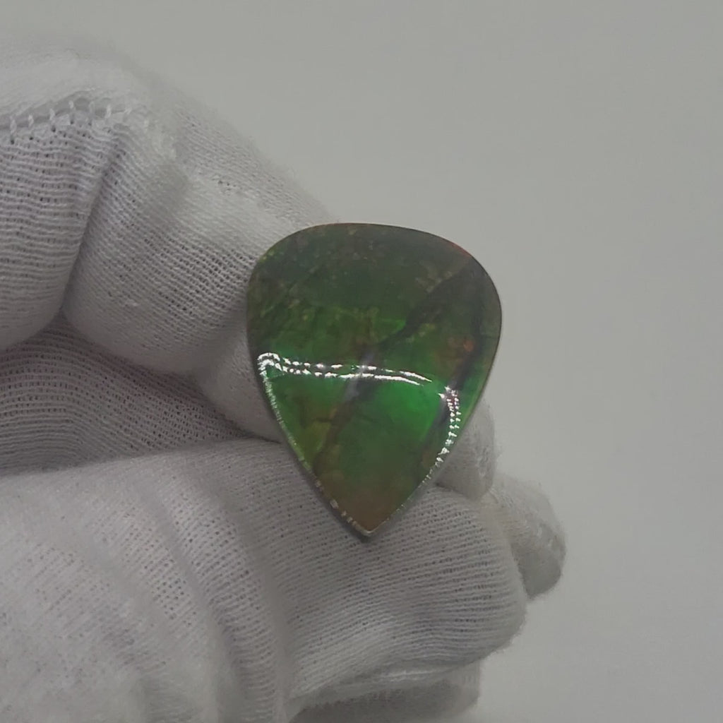 Ammolite Pear Shaped Freeform Loose Gemstone 4460125-Video