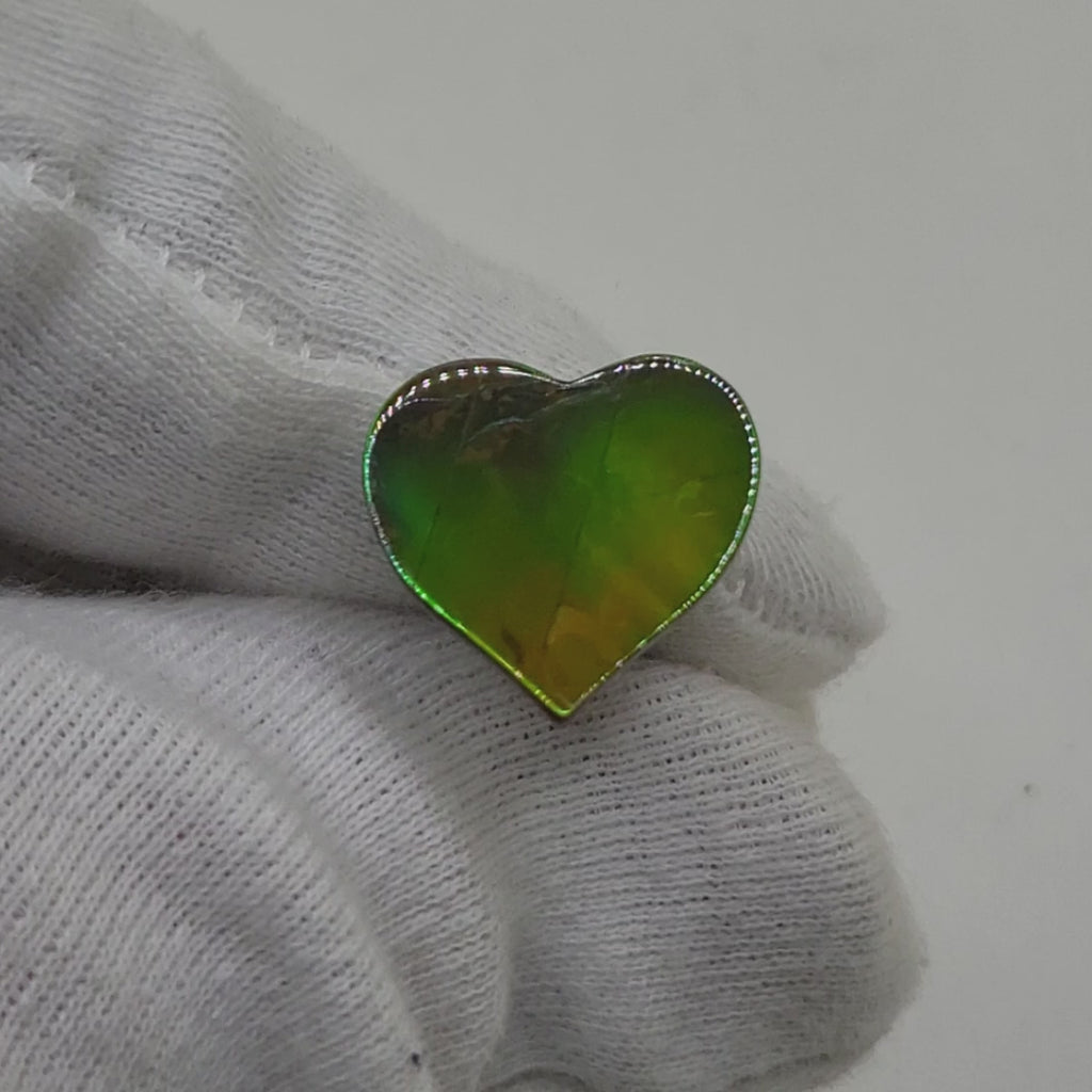 Ammolite Heart Shaped Freeform Loose Gemstone 48220325-Video