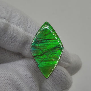 Ammolite Shield Shaped Freeform Loose Gemstone 4720325-Video