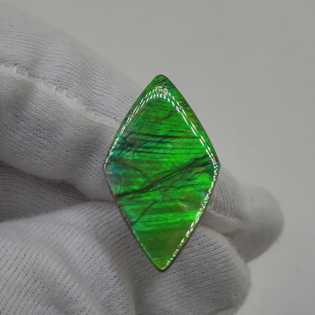 Ammolite Shield Shaped Freeform Loose Gemstone 4720325-Video