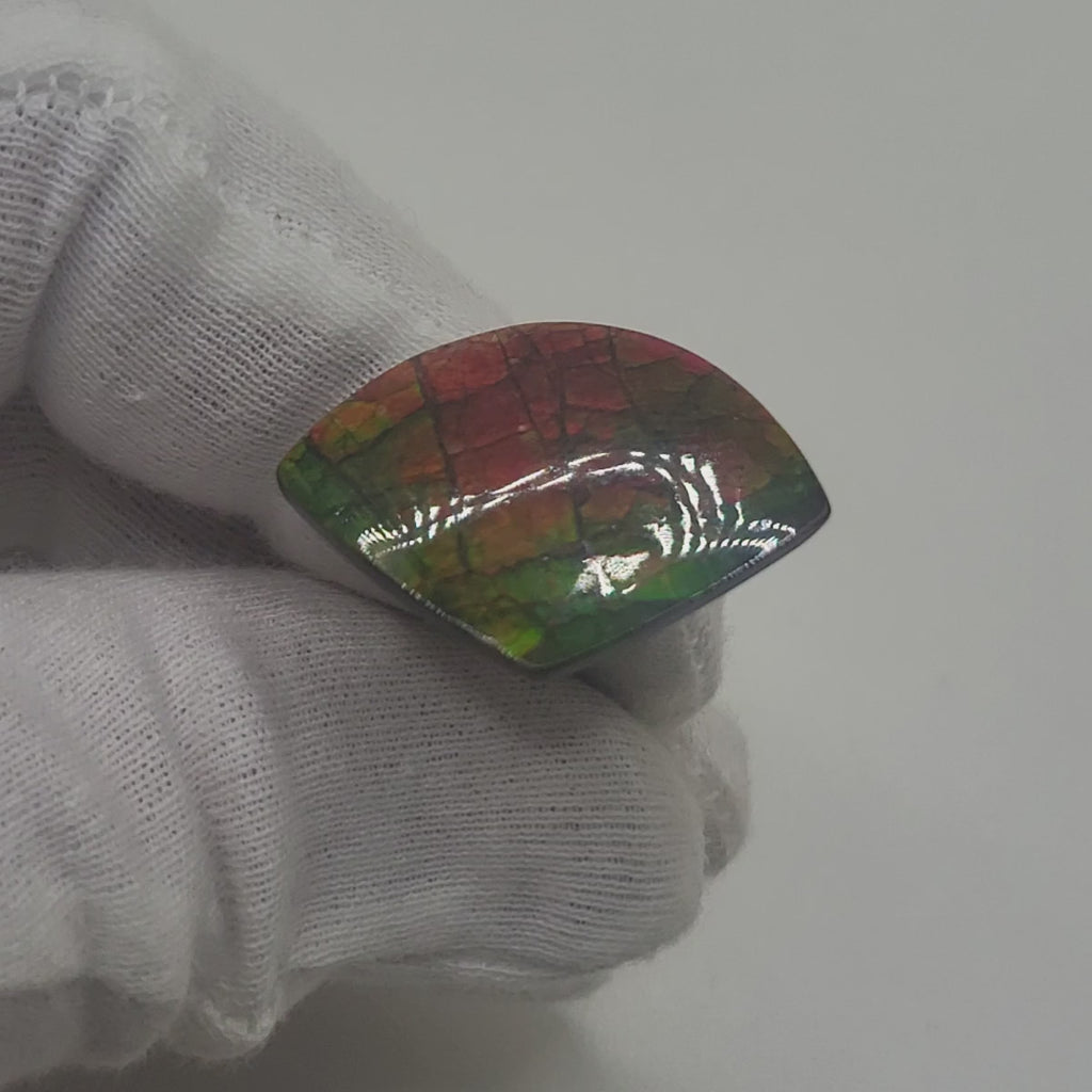 Ammolite Irregular Shaped Freeform Loose Gemstone 4450125-Video