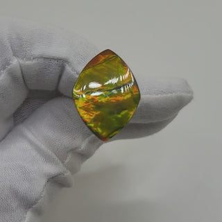 Ammolite Shield Shaped Freeform Loose Gemstone 2080724-Video